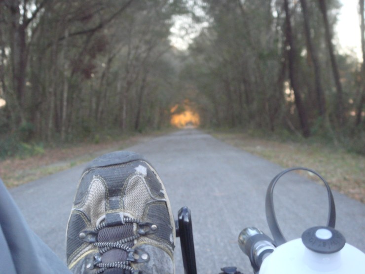 Freewill Used To Focus On Purpose