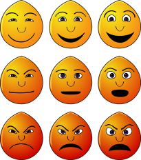 Awareness of Emotions