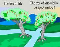 Freewill to Choose Tree of Life or Tree of Knowledge