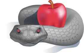 Compromised Freewill