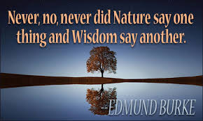 Wisdom and Nature Are Synced